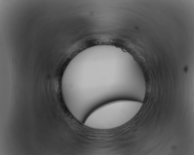 X0000102480715200808081033