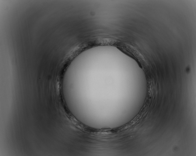 X0000102480716200808081033