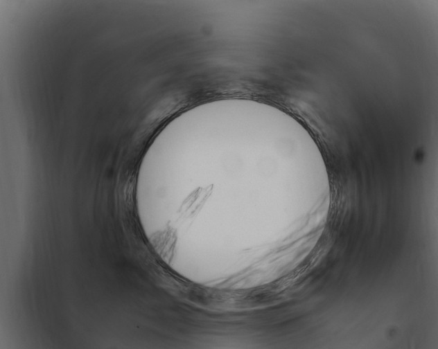 X0000102480717200808081033