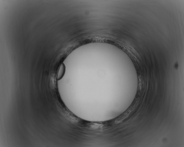 X0000102480718200808081033