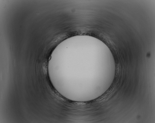 X0000102480719200808081033