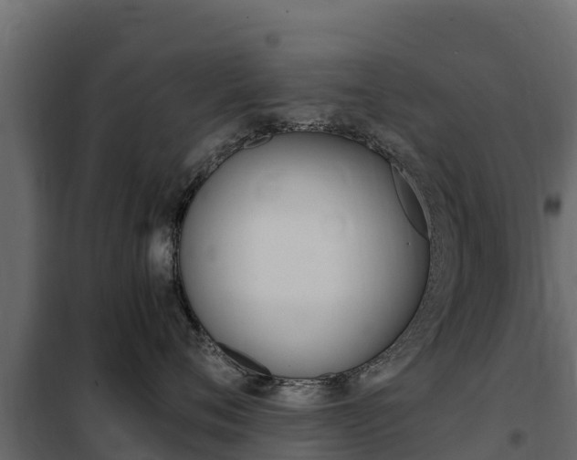 X0000102480720200808081033