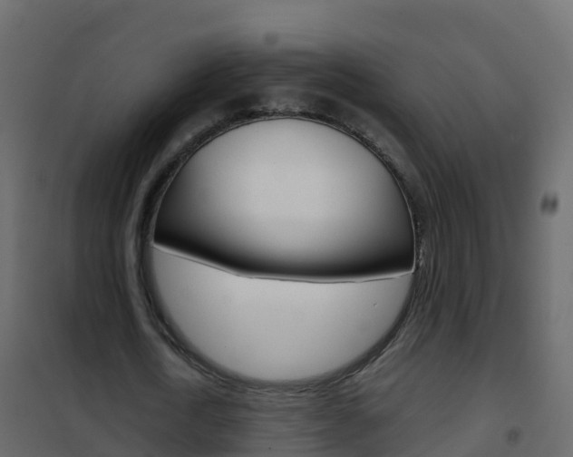 X0000102480722200808081032