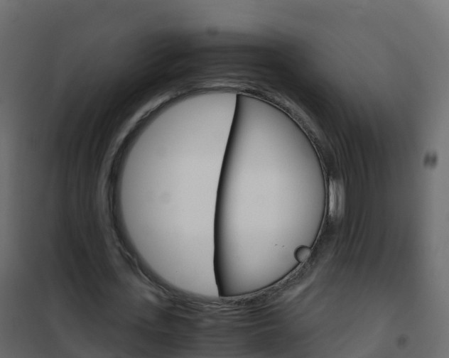 X0000102480723200808081032