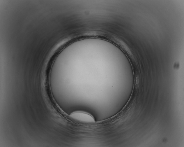X0000102480724200808081032