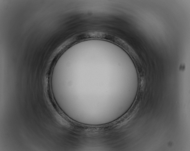 X0000102480725200808081032