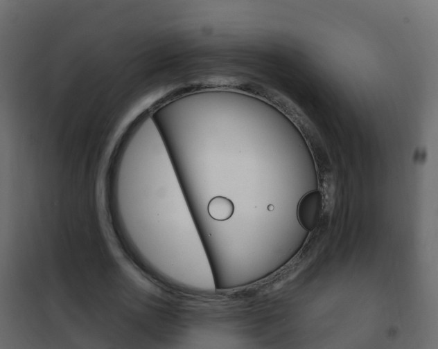 X0000102480726200808081032