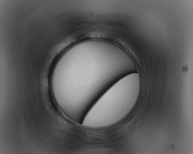 X0000102480727200808081032
