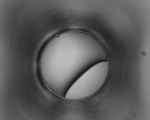 X0000102480728200808081032