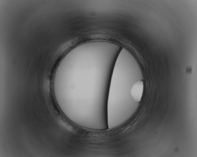 X0000102480729200808081032