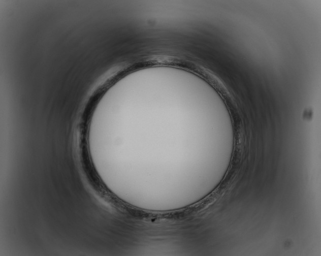 X0000102480730200808081032