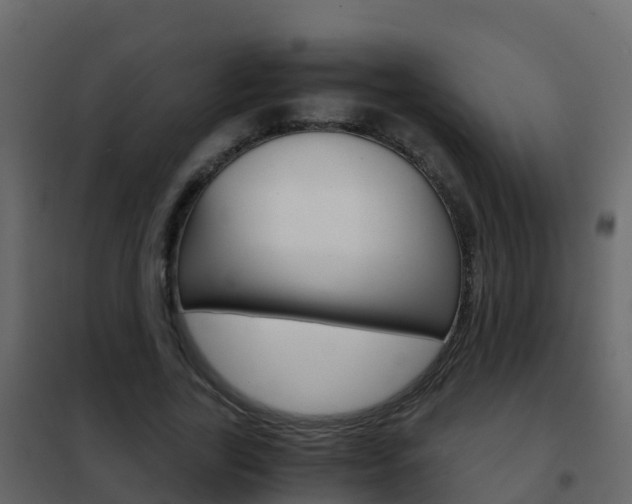 X0000102480731200808081032