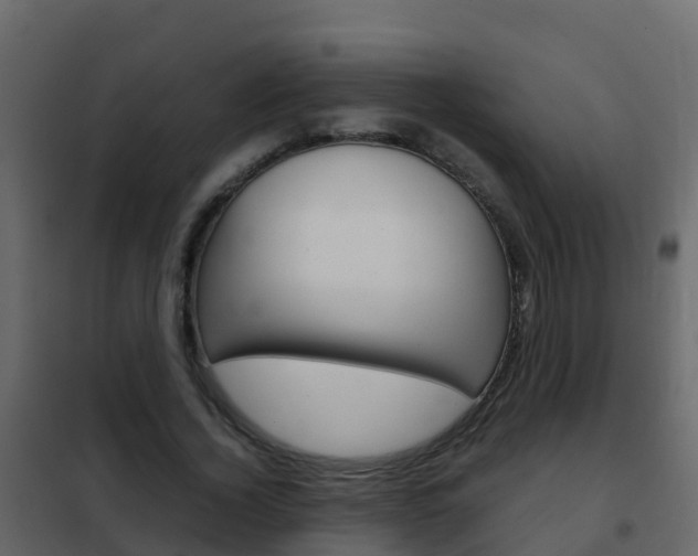X0000102480732200808081032