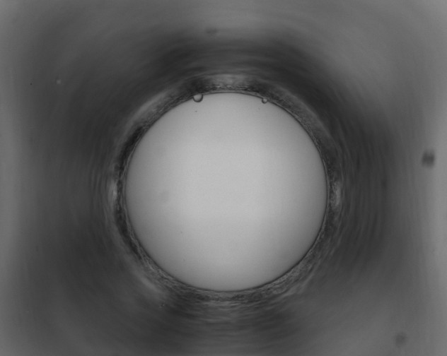 X0000102480733200808081032