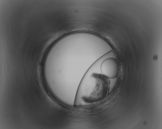 X0000102480734200808081032