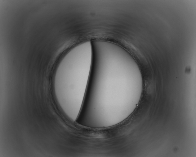 X0000102480735200808081032
