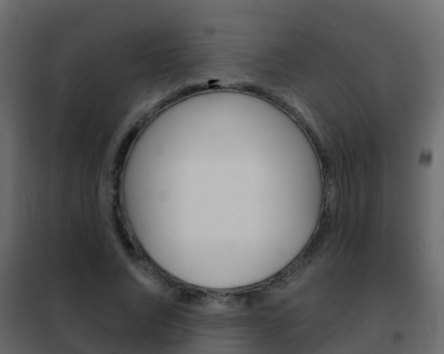 X0000102480736200808081032