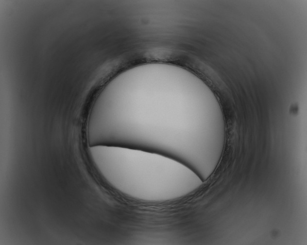 X0000102480738200808081032