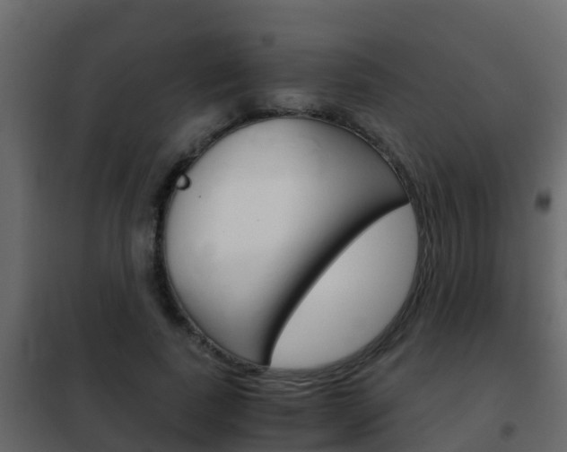 X0000102480739200808081032