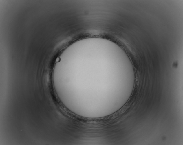 X0000102480740200808081032