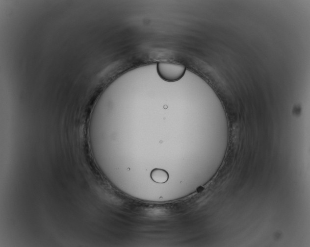 X0000102480741200808081032