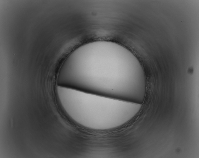 X0000102480742200808081032