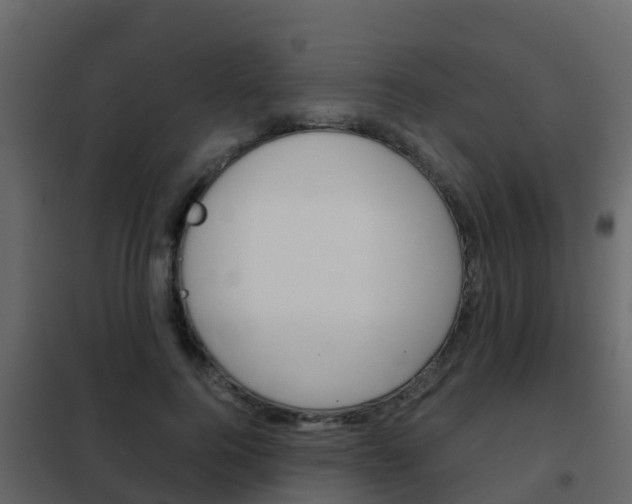 X0000102480744200808081032