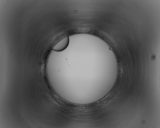 X0000102480745200808081032