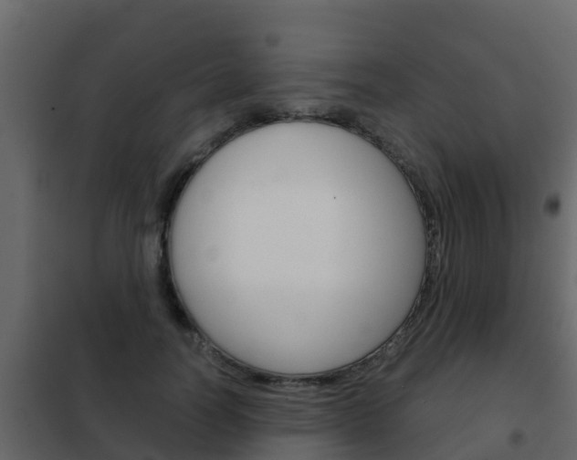 X0000102480746200808081032