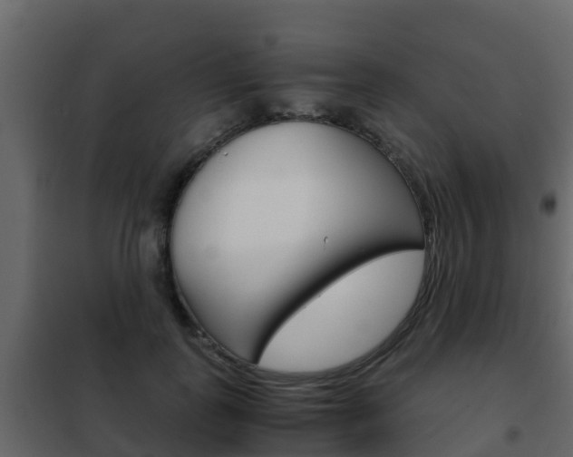 X0000102480747200808081032