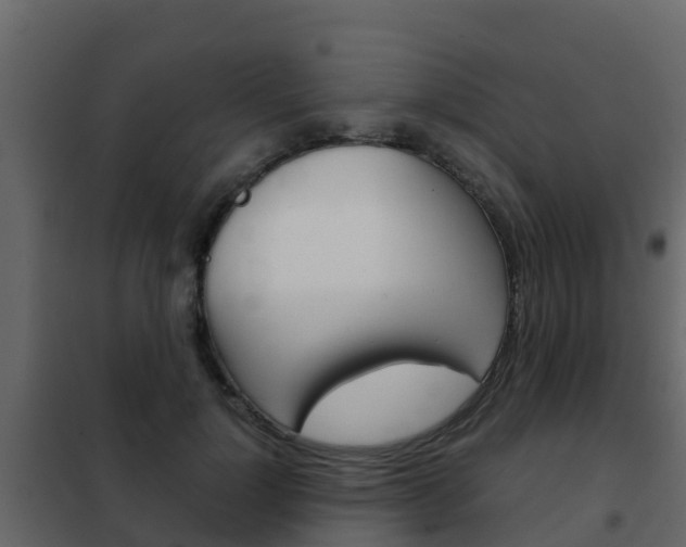 X0000102480748200808081032