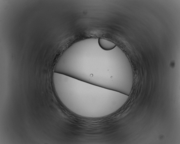 X0000102480749200808081032