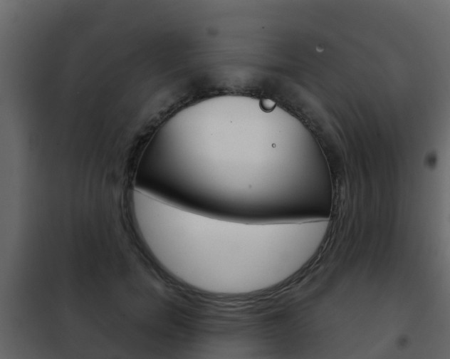 X0000102480750200808081032