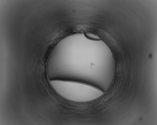 X0000102480751200808081032