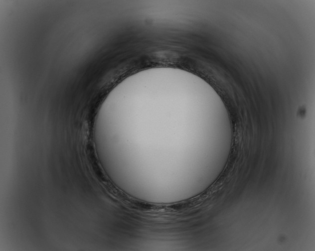 X0000102480752200808081032