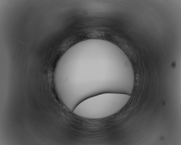 X0000102480753200808081032