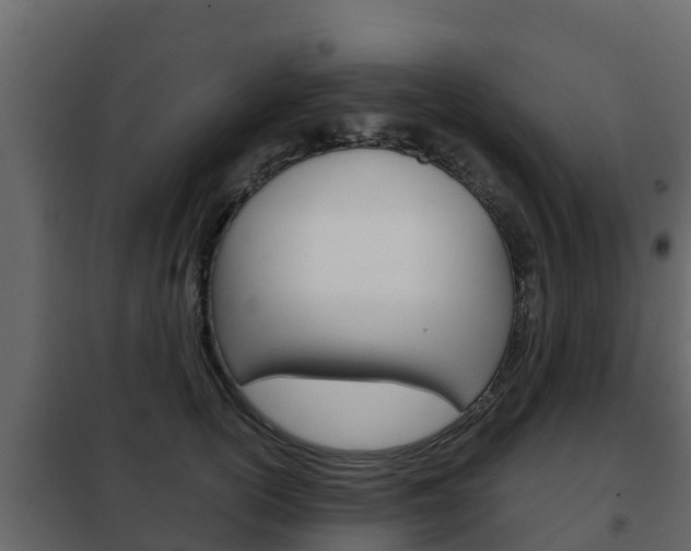 X0000102480754200808081032