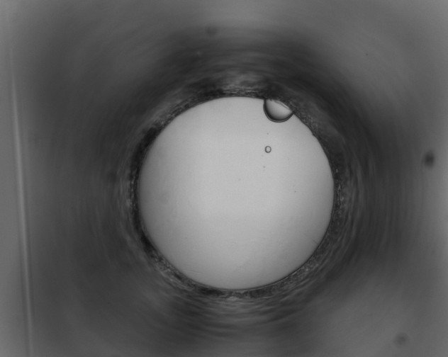 X0000102480755200808081032