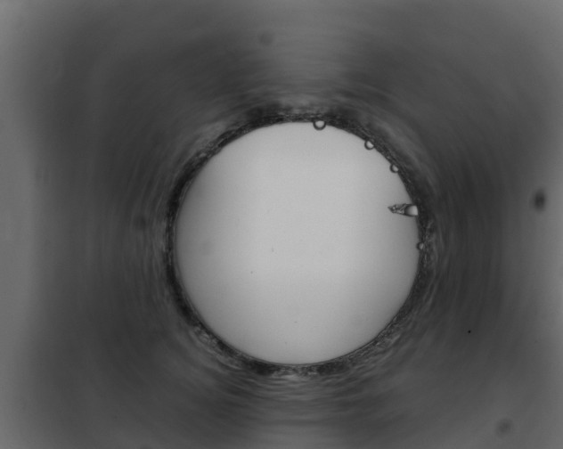 X0000102480756200808081032