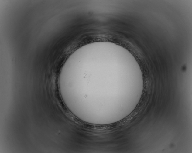 X0000102480757200808081032