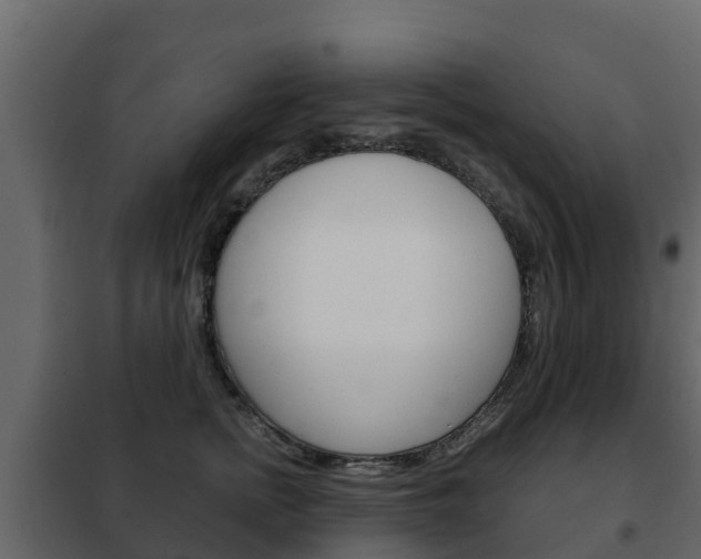 X0000102480758200808081032