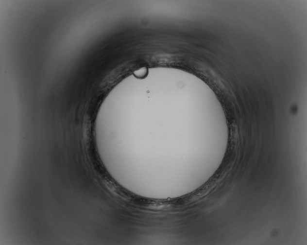 X0000102480760200808081032
