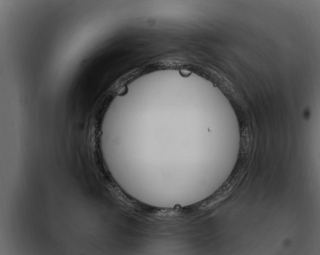 X0000102480762200808081032