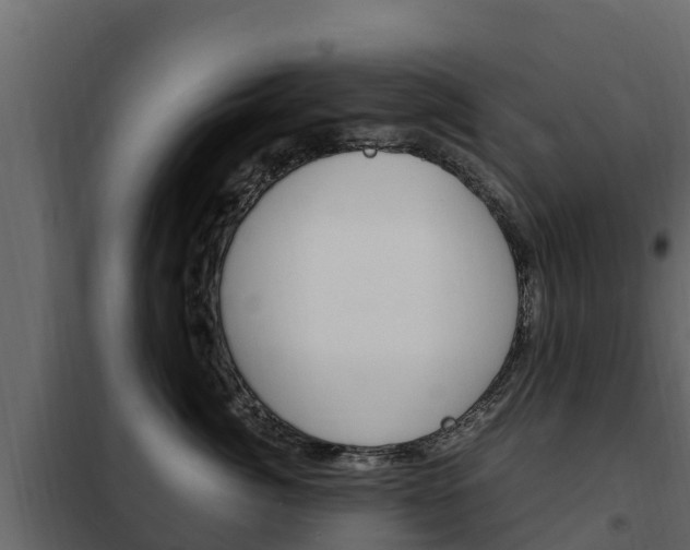 X0000102480764200808081032