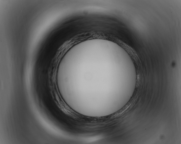 X0000102480765200808081032