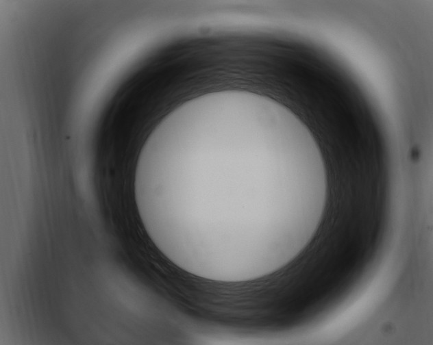 X0000102480766200808081033