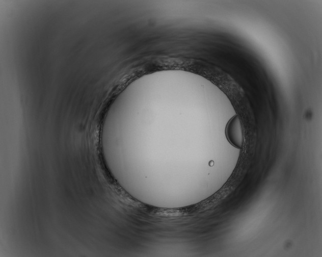 X0000102480767200808081033