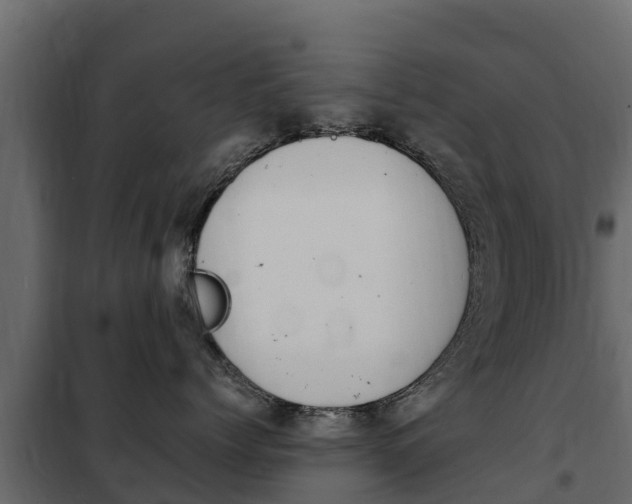 X0000102480768200808081033