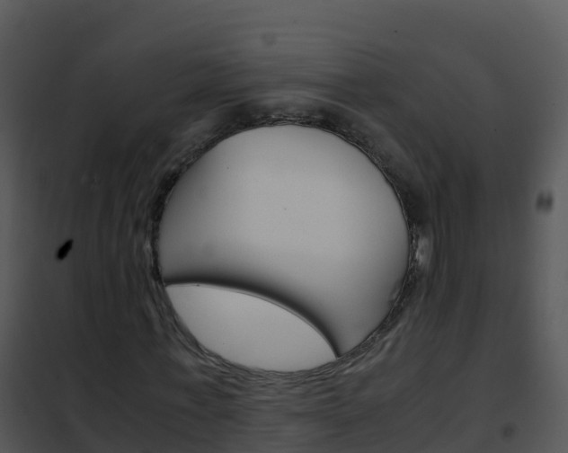 X0000102480771200808081032