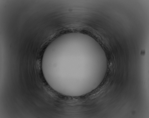 X0000102480772200808081032
